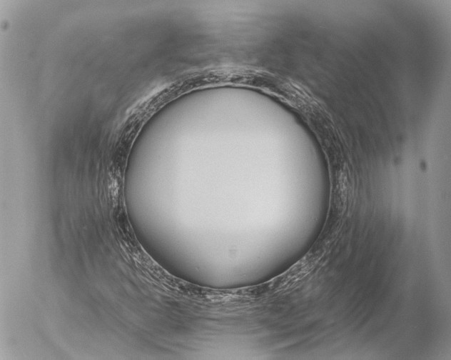 X0000053071302200508081209