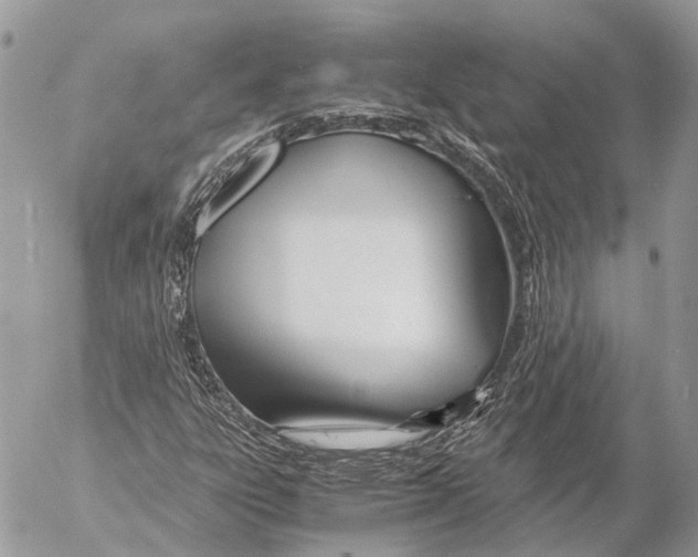 X0000053071303200508081209