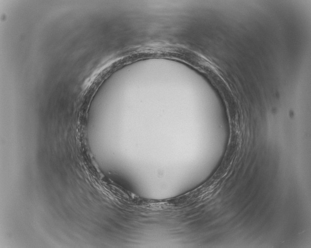 X0000053071304200508081209