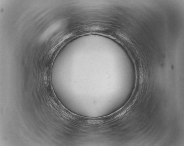 X0000053071305200508081209