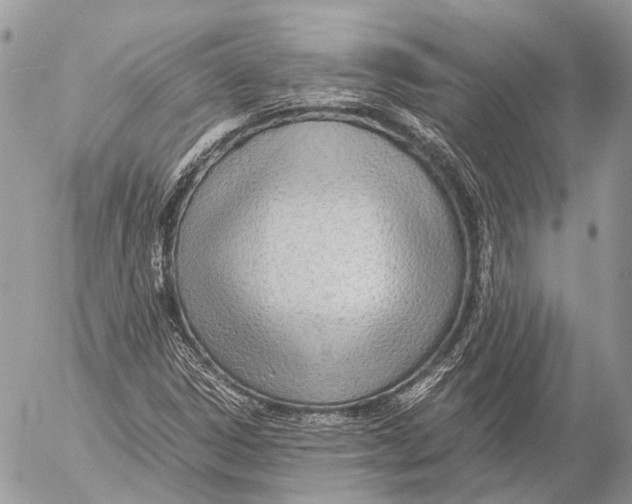 X0000053071306200508081209