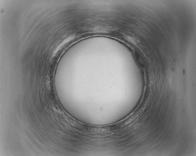 X0000053071307200508081209