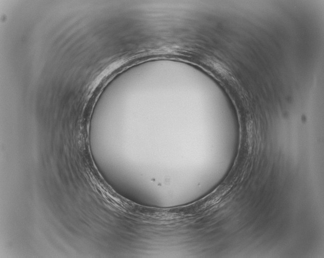 X0000053071308200508081209