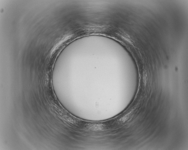 X0000053071309200508081209