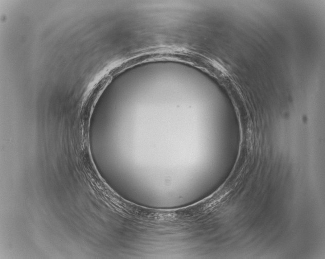 X0000053071310200508081209