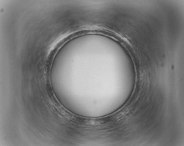 X0000053071311200508081209