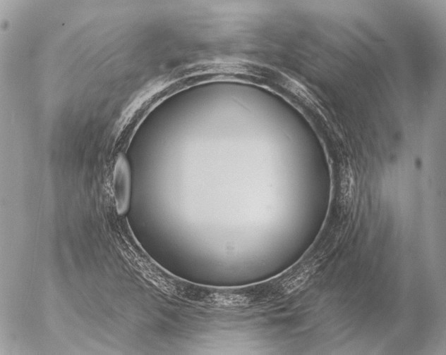 X0000053071312200508081209