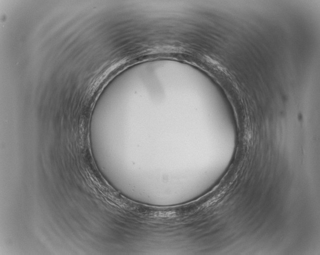 X0000053071313200508081209