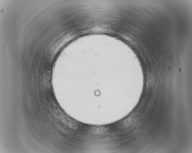 X0000053071314200508081209