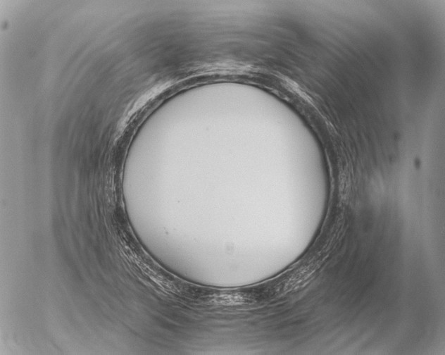 X0000053071315200508081209