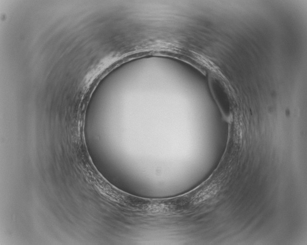 X0000053071316200508081209