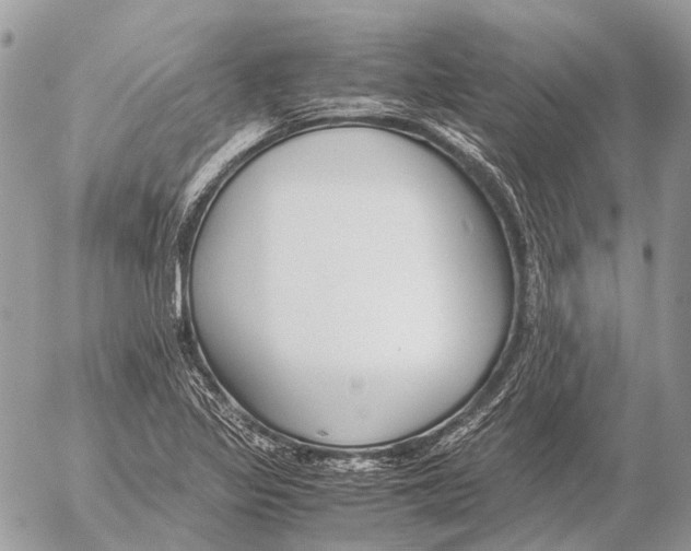 X0000053071317200508081209