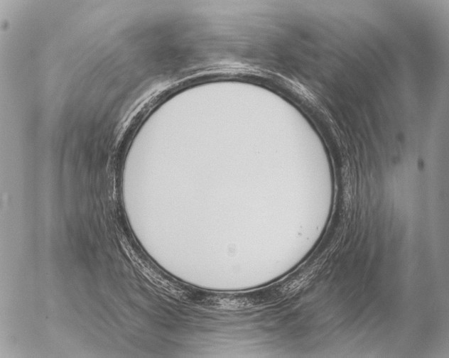 X0000053071318200508081209