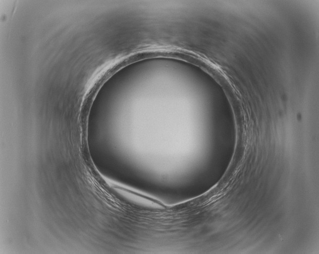 X0000053071319200508081210