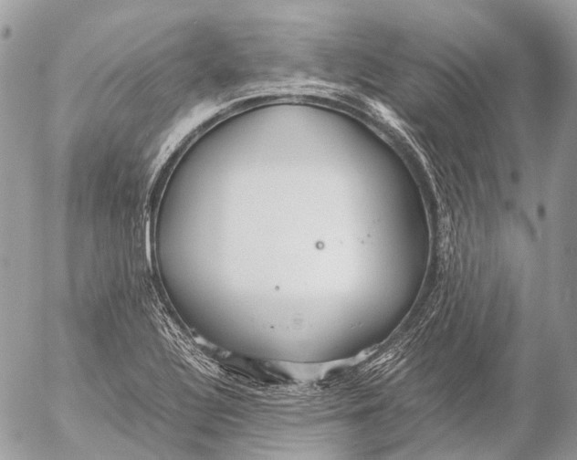 X0000053071320200508081210