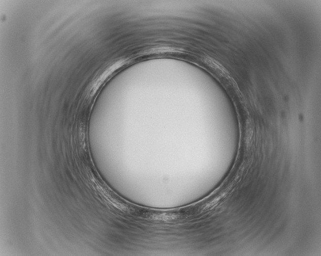 X0000053071321200508081210