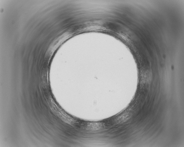 X0000053071322200508081210