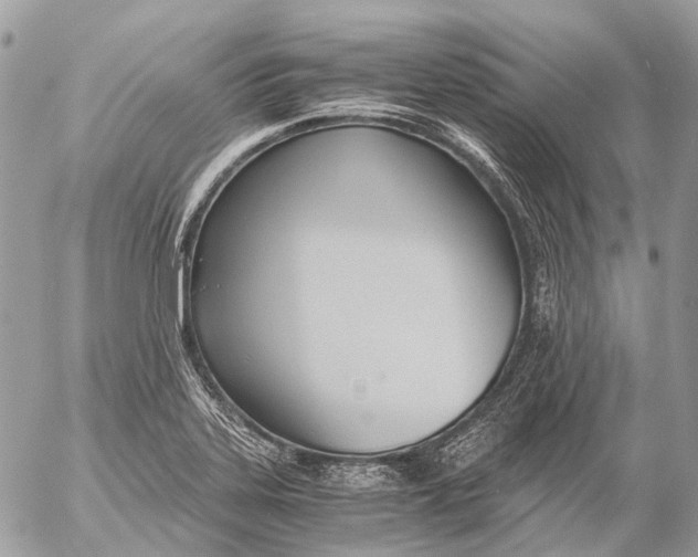 X0000053071323200508081210