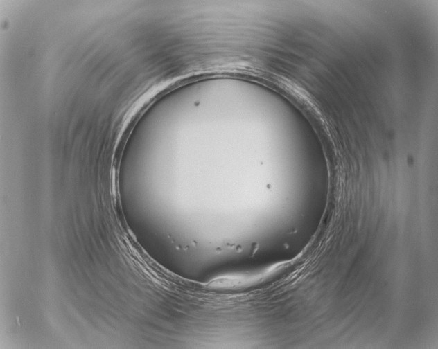 X0000053071324200508081210