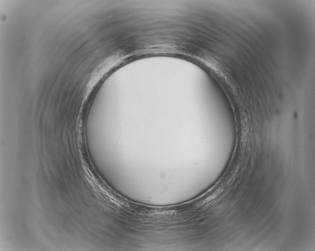 X0000053071325200508081210