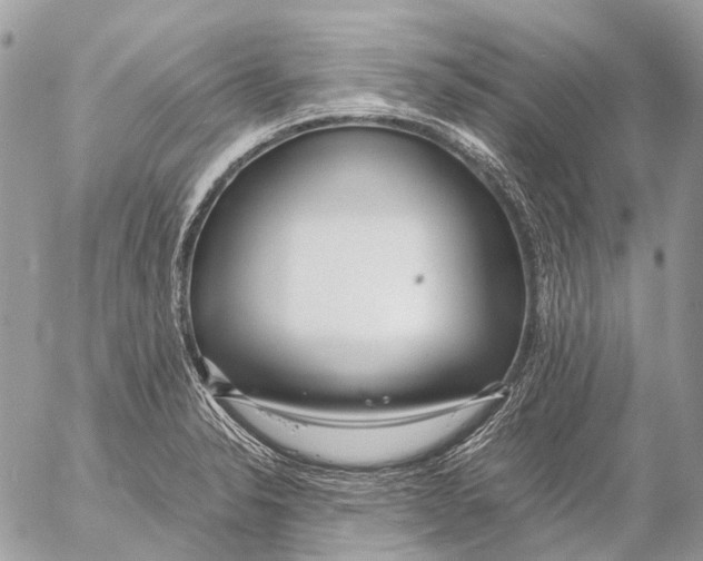 X0000053071326200508081210