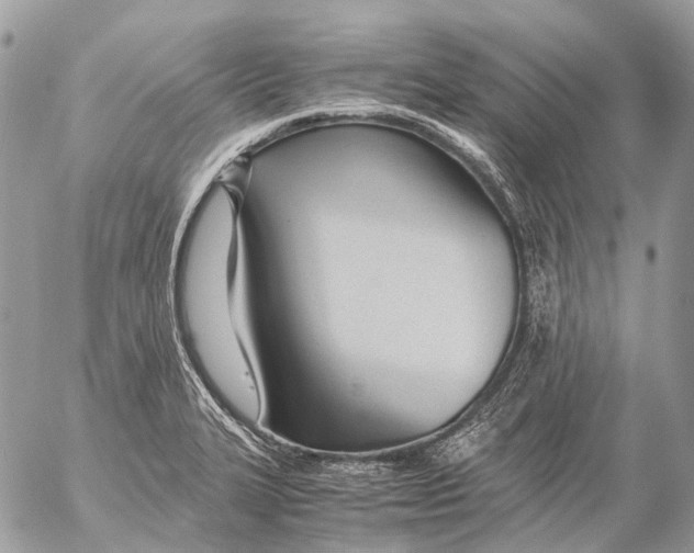 X0000053071327200508081210