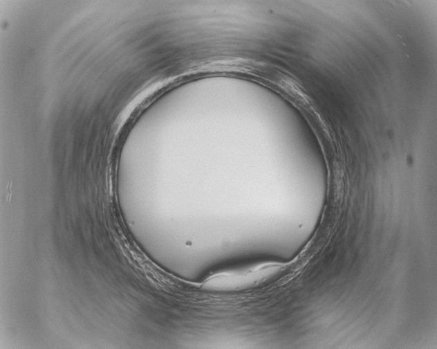 X0000053071328200508081210