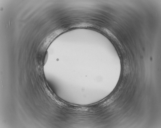 X0000053071329200508081210