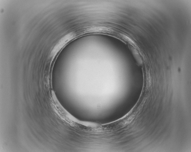 X0000053071330200508081210