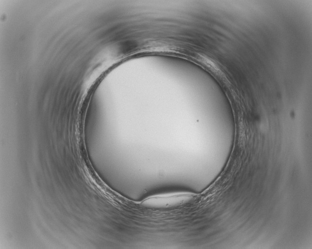 X0000053071331200508081210