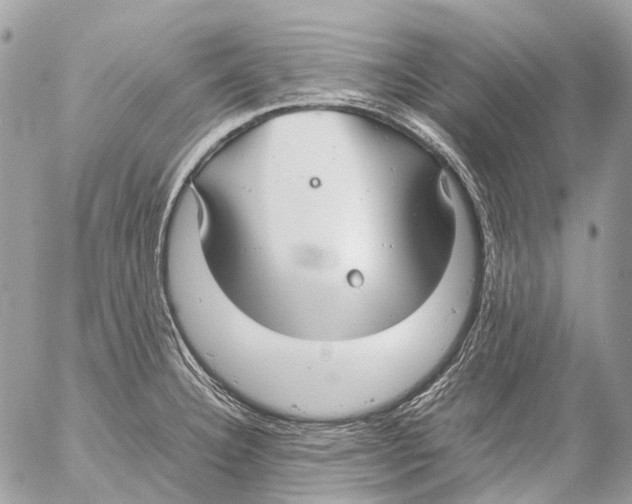 X0000053071332200508081210