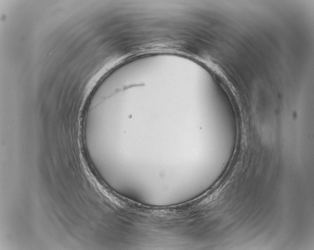 X0000053071333200508081210