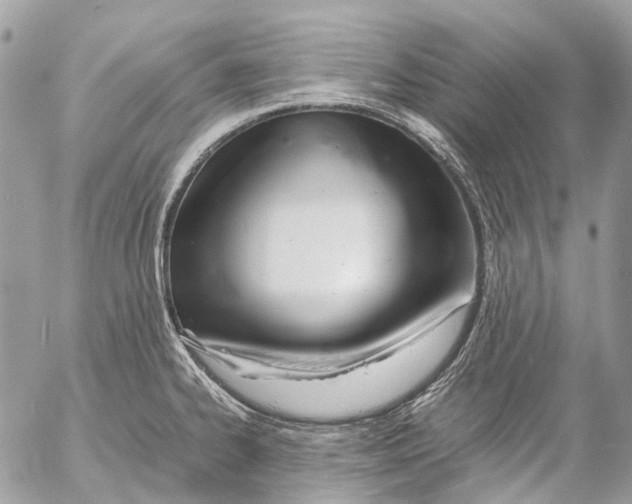 X0000053071334200508081210