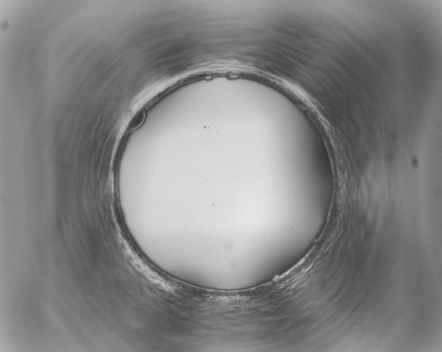 X0000053071335200508081210