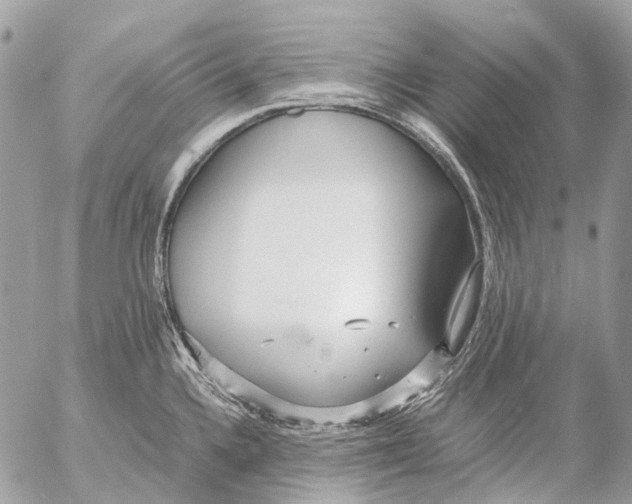 X0000053071336200508081210