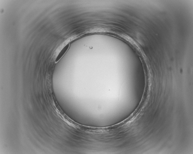 X0000053071337200508081210