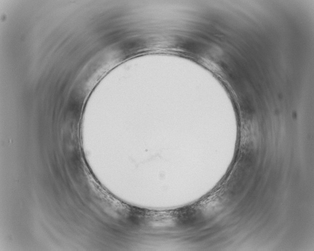 X0000053071338200508081210