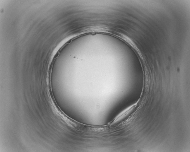 X0000053071339200508081210