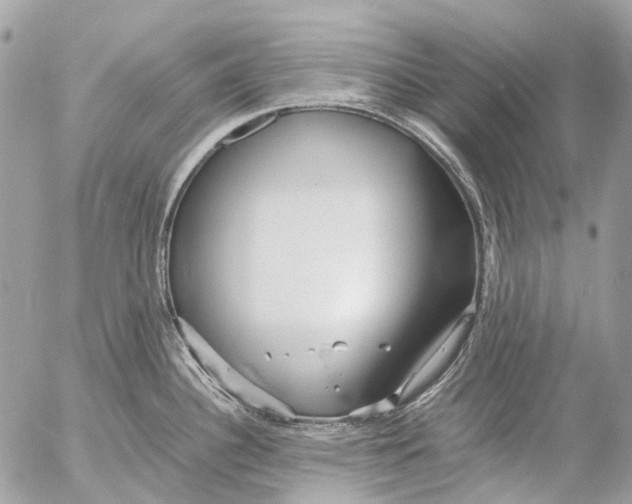 X0000053071340200508081210