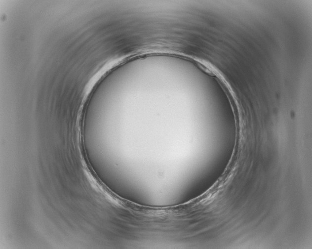 X0000053071341200508081210