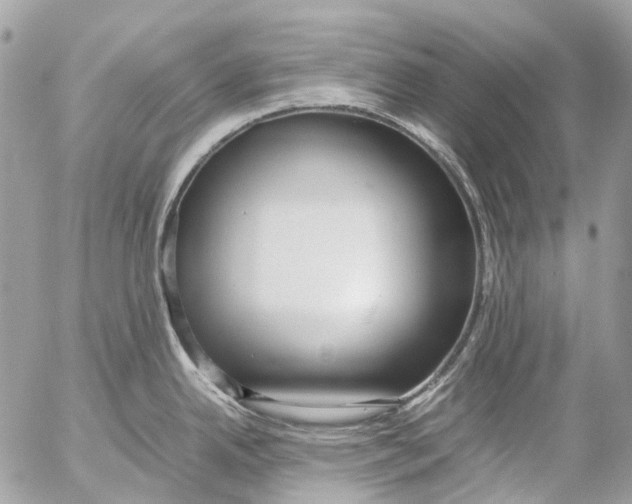 X0000053071342200508081210