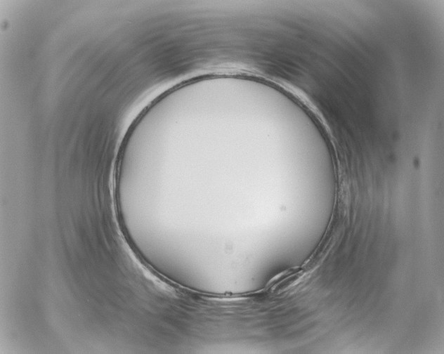 X0000053071343200508081210