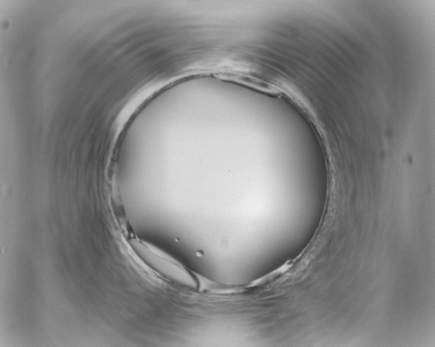 X0000053071344200508081210