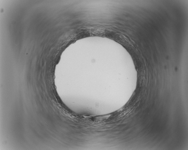 X0000053071345200508081209