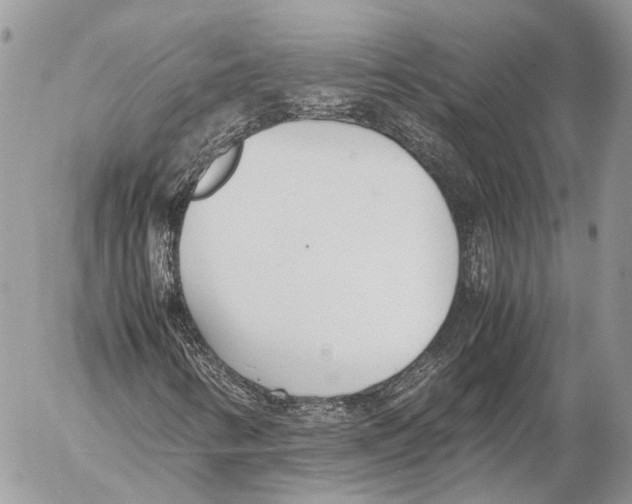 X0000053071346200508081209