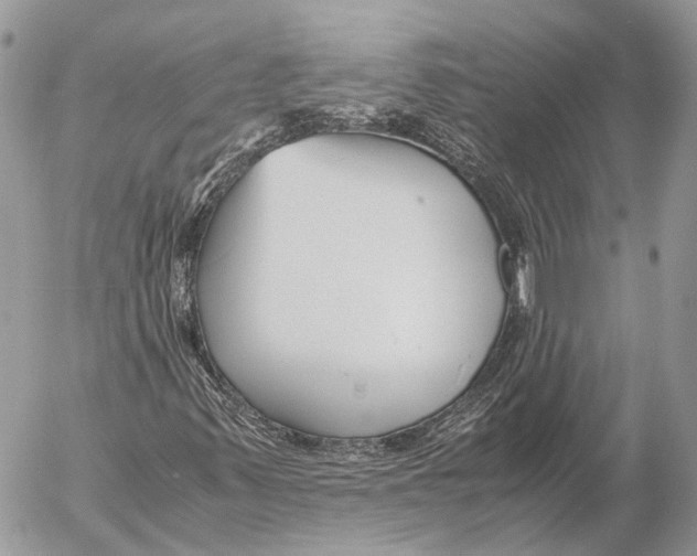 X0000053071347200508081209