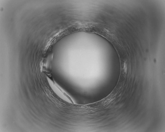 X0000053071348200508081209