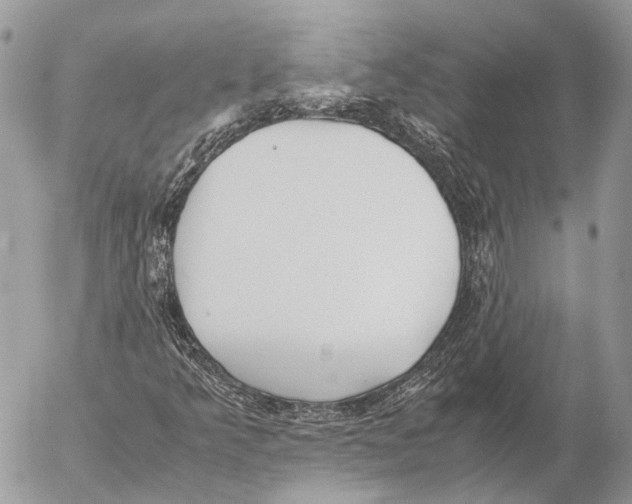 X0000053071349200508081209