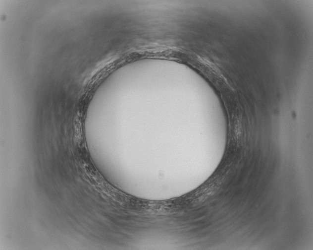 X0000053071350200508081209