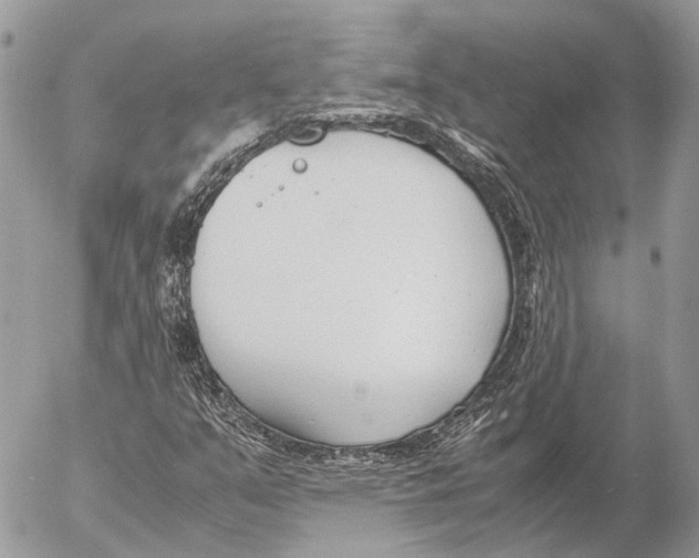 X0000053071351200508081209